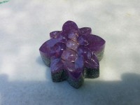 /album/galeria/semitactica-flor-morada-7-jpg/